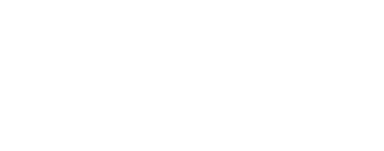 Simplex Solutions logo